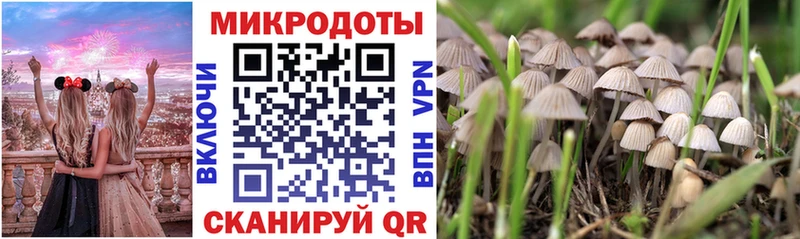 это какой сайт  Задонск  Псилоцибиновые грибы GOLDEN TEACHER 